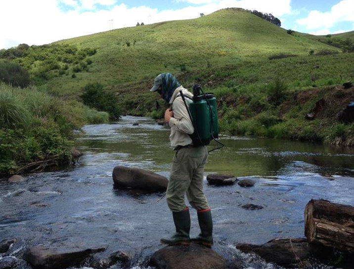 BRU clearing on uMngeni summer 2016